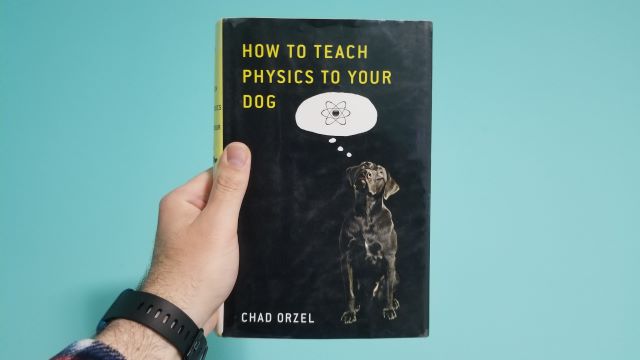 I Can Teach Your Dog Quantum Physics